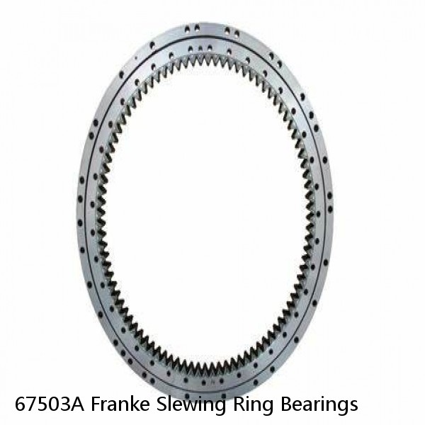 67503A Franke Slewing Ring Bearings