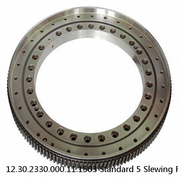 12.30.2330.000.11.1503 Standard 5 Slewing Ring Bearings