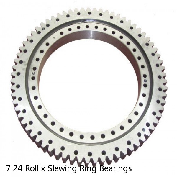 7 24 Rollix Slewing Ring Bearings