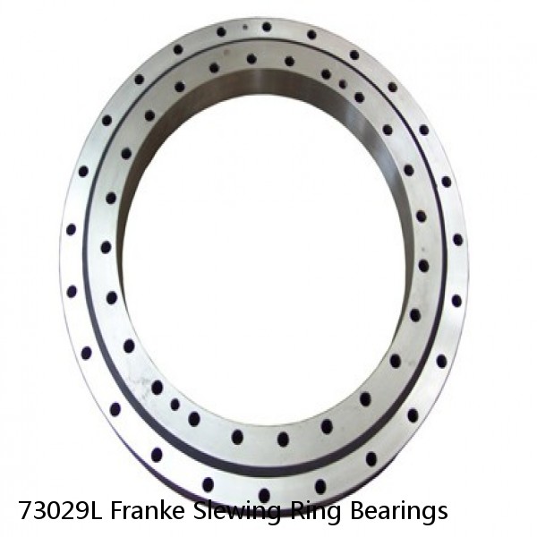 73029L Franke Slewing Ring Bearings #1 small image