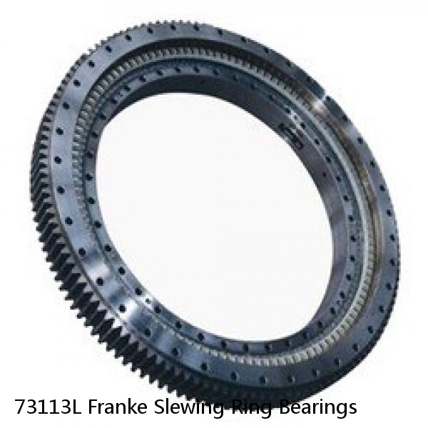 73113L Franke Slewing Ring Bearings #1 small image