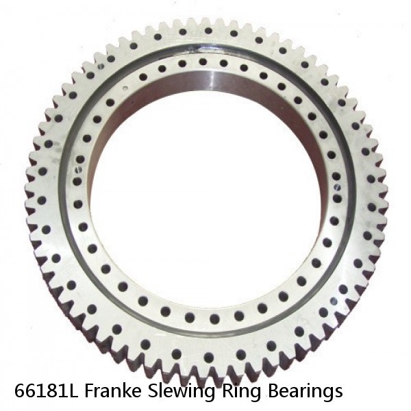 66181L Franke Slewing Ring Bearings #1 small image
