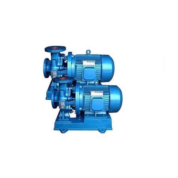 SUMITOMO QT32-10-A Medium-pressure Gear Pump #2 image