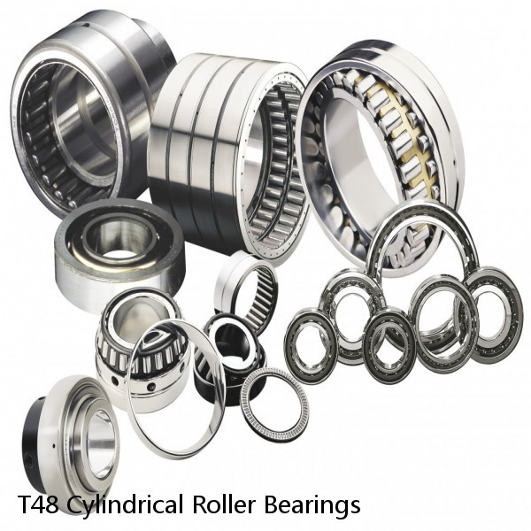 T48 Cylindrical Roller Bearings #1 image