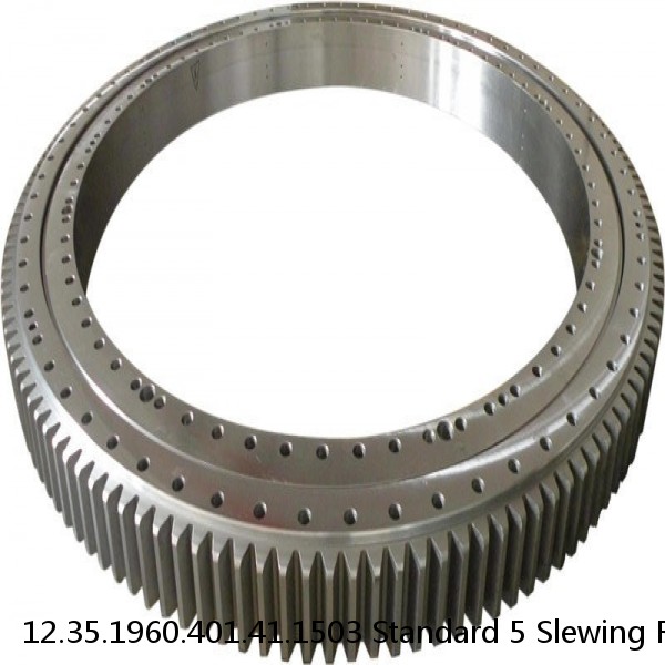12.35.1960.401.41.1503 Standard 5 Slewing Ring Bearings #1 image