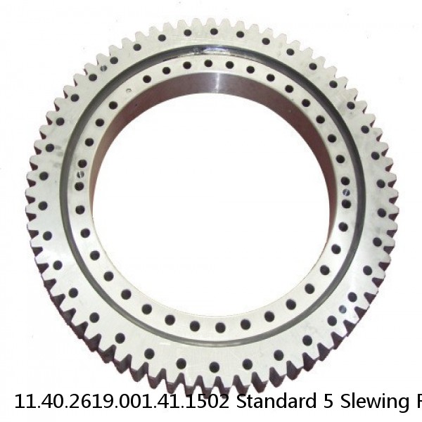 11.40.2619.001.41.1502 Standard 5 Slewing Ring Bearings #1 image