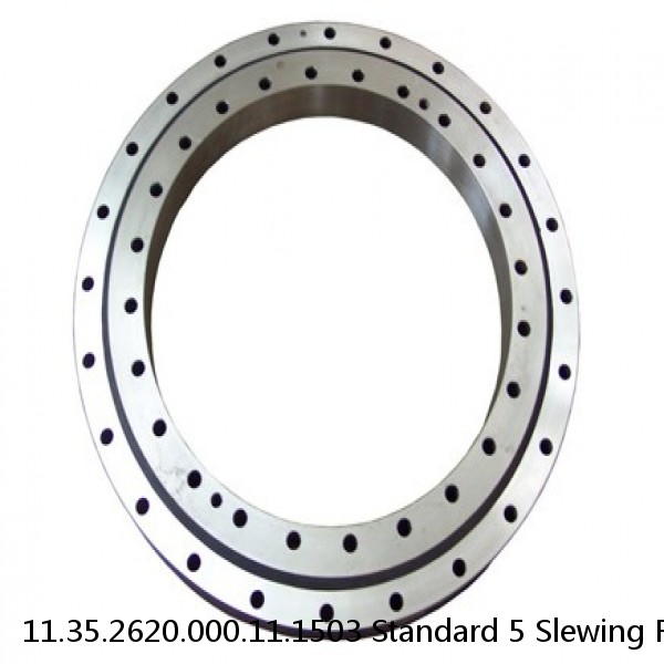 11.35.2620.000.11.1503 Standard 5 Slewing Ring Bearings #1 image