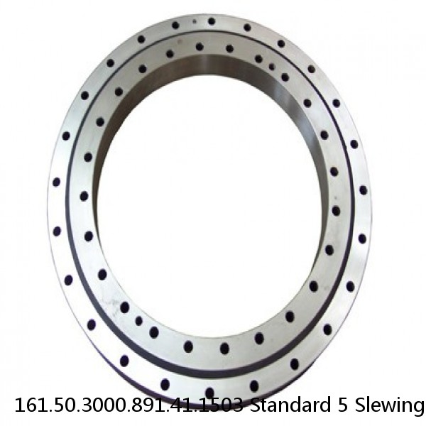161.50.3000.891.41.1503 Standard 5 Slewing Ring Bearings #1 image