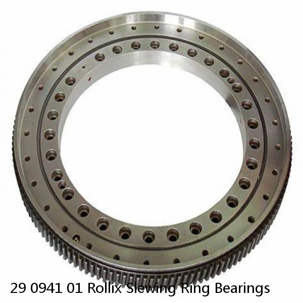 29 0941 01 Rollix Slewing Ring Bearings #1 image