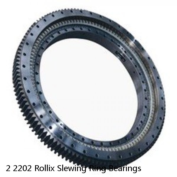 2 2202 Rollix Slewing Ring Bearings #1 image