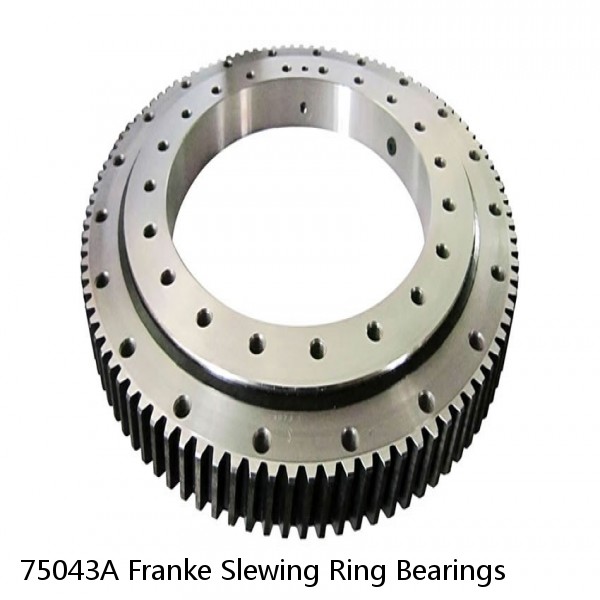 75043A Franke Slewing Ring Bearings #1 image