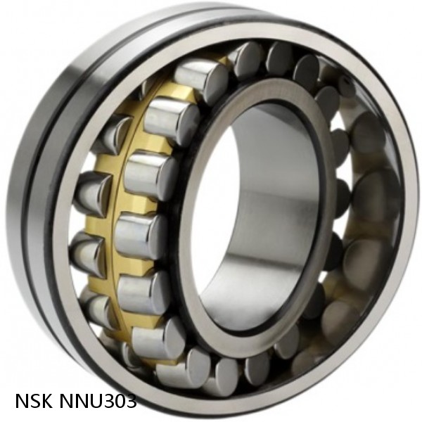 NNU303 NSK CYLINDRICAL ROLLER BEARING #1 image